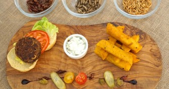 Britain’s First Insect-Only Restaurant is Sure to Take Care of Your Protein Intake